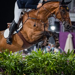 Tokija2020: Jāšanas sports (Neretnieks un zirgs Valour). Foto: LOK/ Mikus Kļaviņš