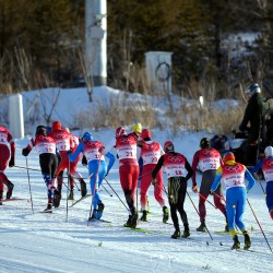 Foto: LOK/ Edijs Pālens/ LETA